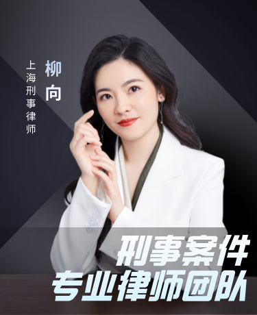 浦东新区刑事律师